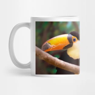 45 toucan Mug